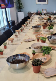 Terrarium Making Workshop - Leeds Team Building