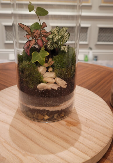 Terrarium Making Workshop - Leeds Team Building