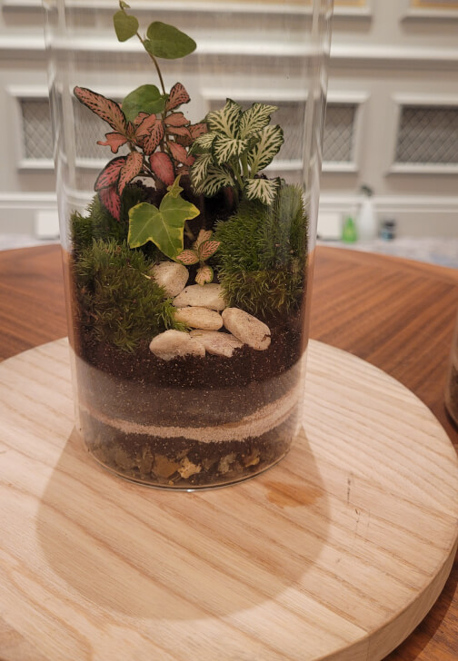 Terrarium Making Workshop - Leeds Team Building