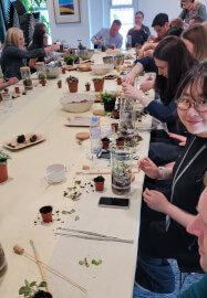 Terrarium Making Workshop - London, Groups and Team Building