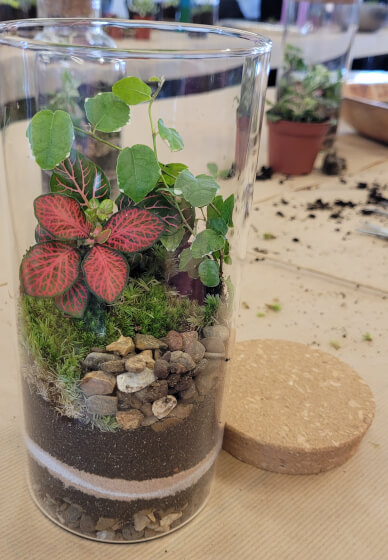 Terrarium Making Workshop - London, Groups and Team Building