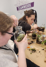 Terrarium Making Workshop - London, Groups and Team Building