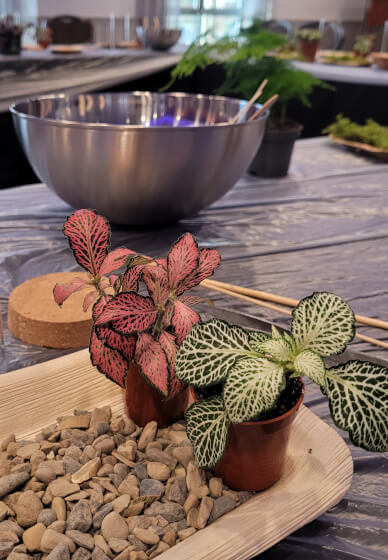 Terrarium Making Workshop - Manchester Team Building