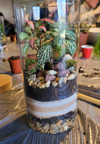 Terrarium Making Workshop - Manchester Team Building