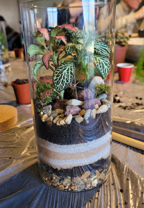 Terrarium Making Workshop - Manchester Team Building