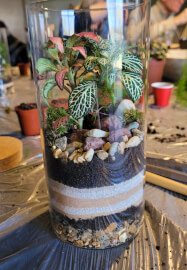 Terrarium Making Workshop - Manchester Team Building