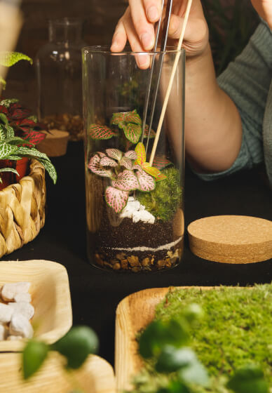Terrarium Making Workshop - Manchester Team Building