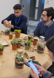 Terrarium Making Workshop - Nottingham Team Building