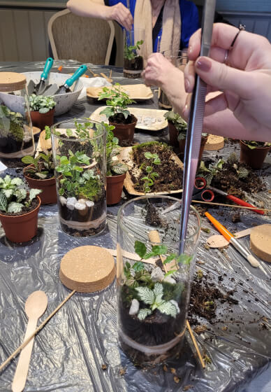 Terrarium Making Workshop - Nottingham Team Building