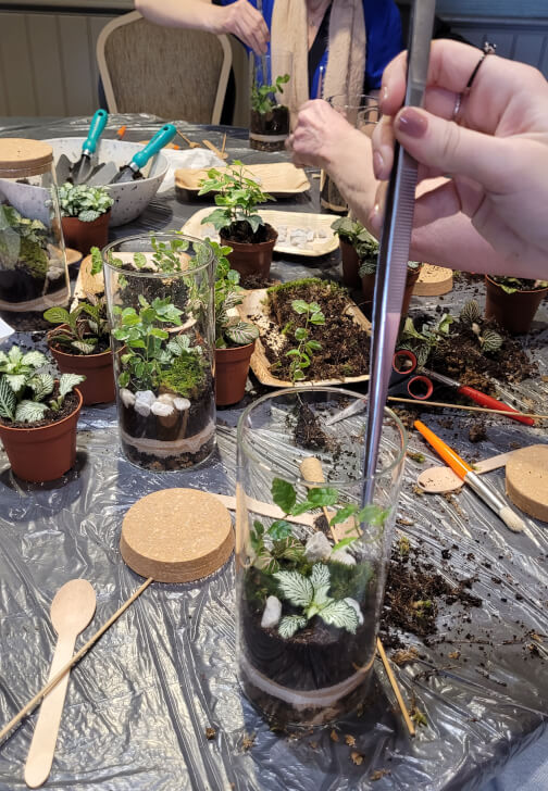 Terrarium Making Workshop - Nottingham Team Building