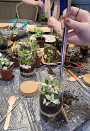 Terrarium Making Workshop - Nottingham Team Building
