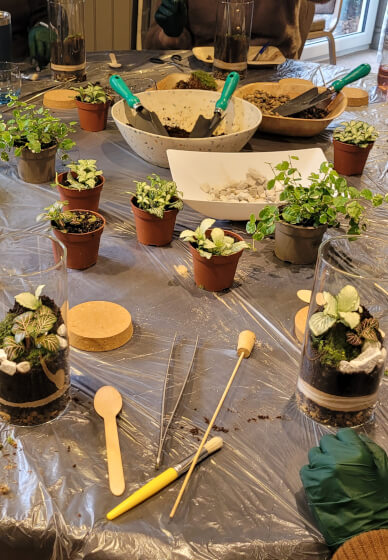 Terrarium Making Workshop - Nottingham Team Building
