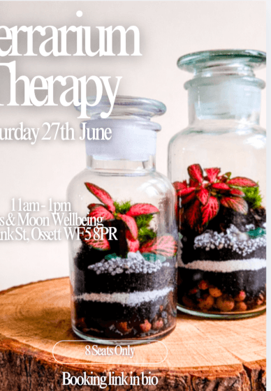 Terrarium Therapy Workshop