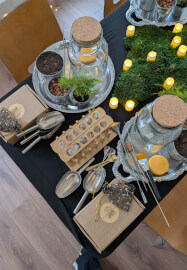 Terrarium Therapy Workshop