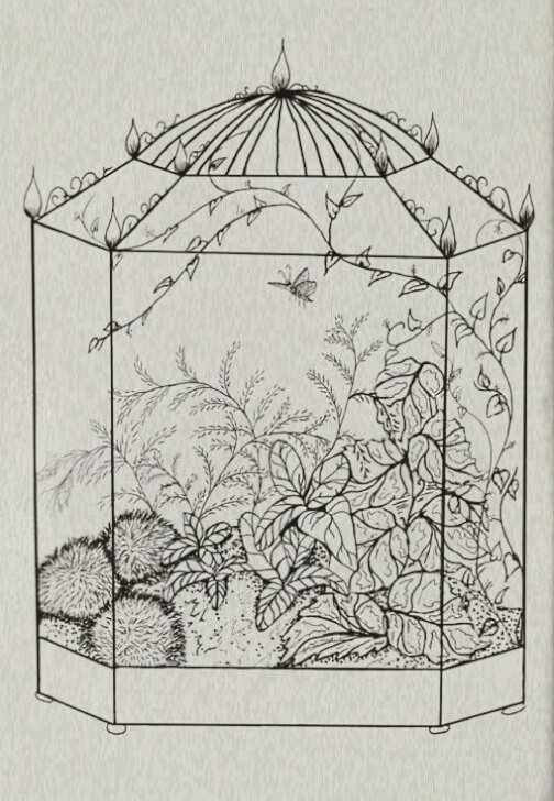 Terrarium Therapy Workshop and Sound Bath Experience