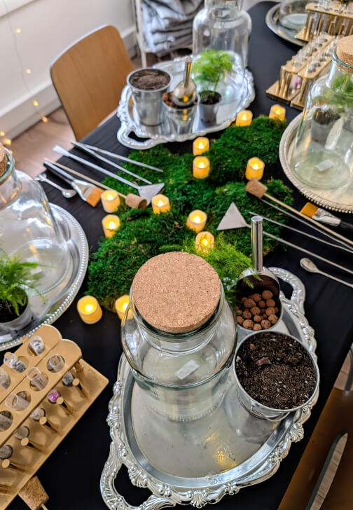 Terrarium Therapy Workshop and Sound Bath Experience