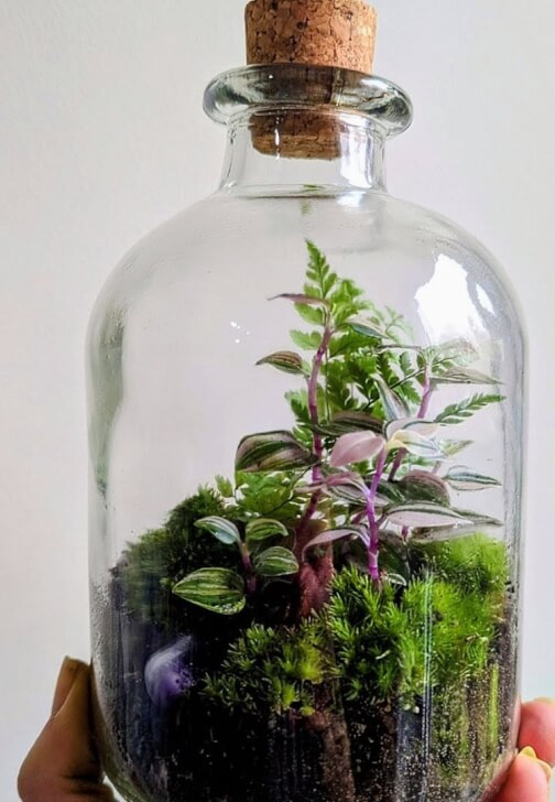 Terrarium Therapy Workshop and Sound Bath Experience