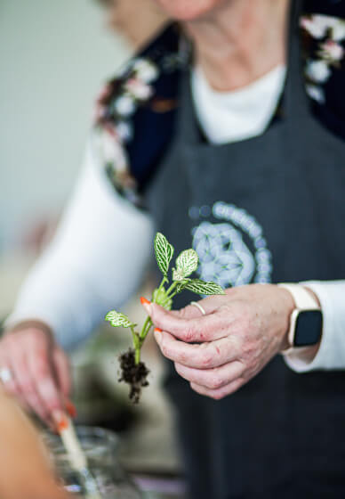 Terrarium Workshop