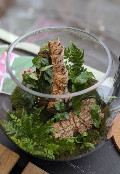 Terrarium Workshop for Two