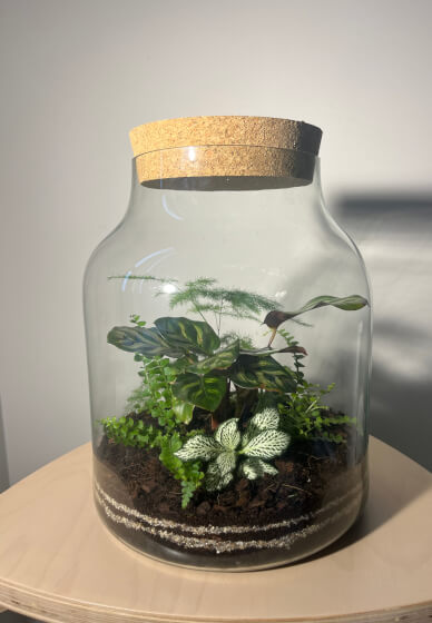 Terrarium Workshop