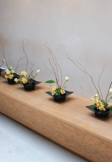The Art of Matcha and Ikebana: Matcha Tasting and Flower Arranging