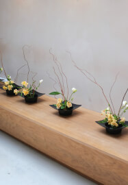 The Art of Matcha and Ikebana: Matcha Tasting and Flower Arranging