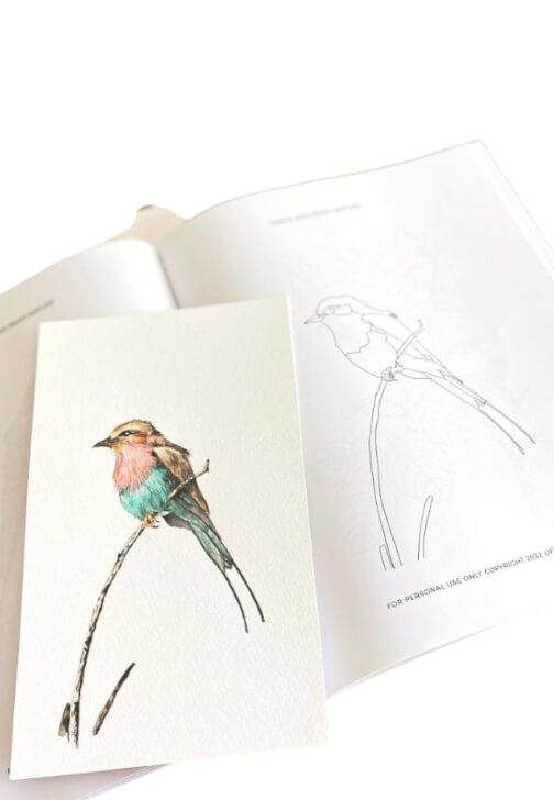 Trace and Paint on a Canvas Workshop