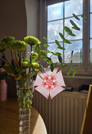 Transparent Origami Workshop
