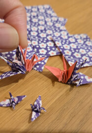 Transparent Origami Workshop