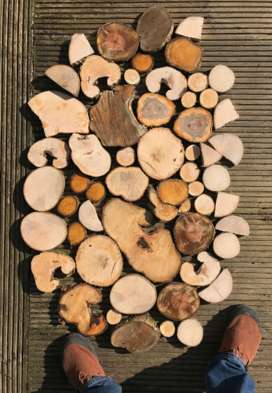 Tree Ring Wood Prints Workshop