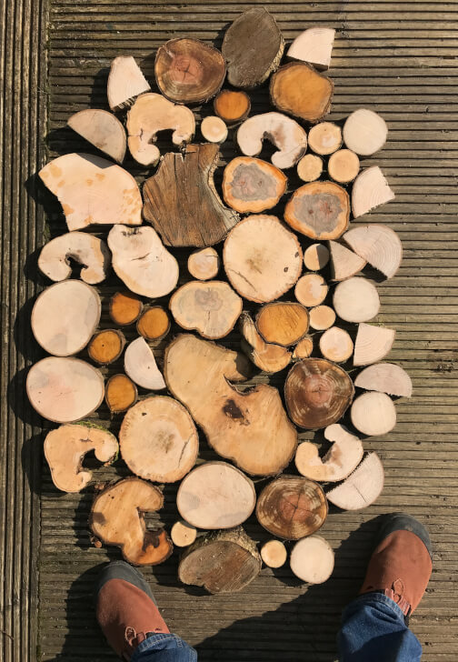 Tree Ring Wood Prints Workshop
