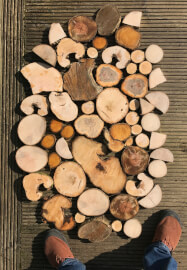 Tree Ring Wood Prints Workshop