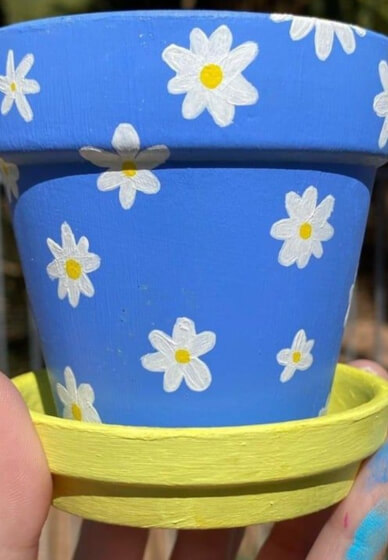 Upcycled Plant Pot Painting Experience