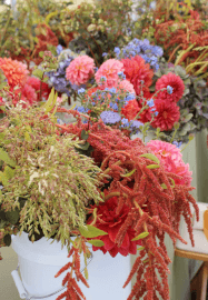 Vivid and Modern Petals: DIY Wedding Flower Workshop