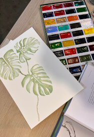 Watercolour Class - Beginner Friendly