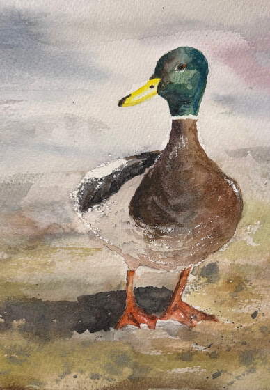 Watercolour Course