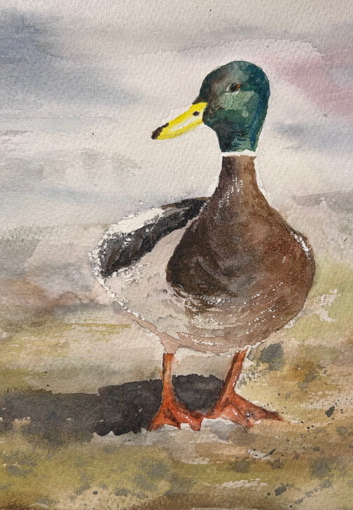 Watercolour Course