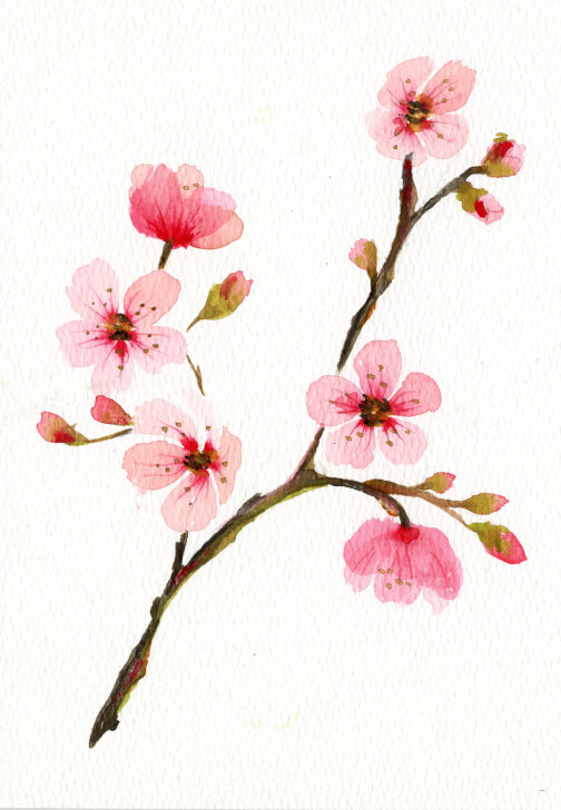 Watercolour Floral Art Class