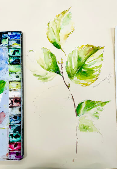 Watercolour Floral Painting Course