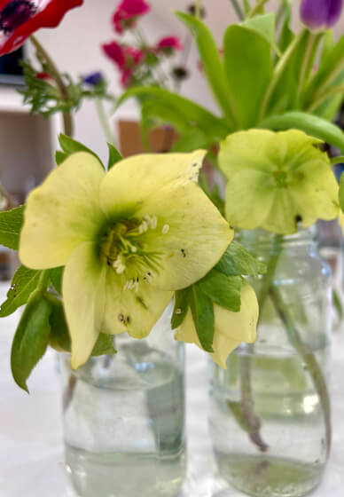 Watercolour Floral Painting Course