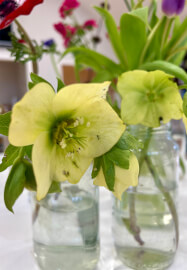 Watercolour Floral Painting Course