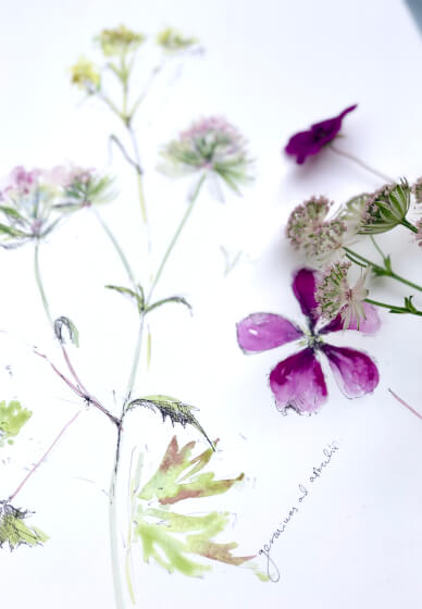 Watercolour Floral Painting Course