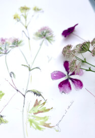 Watercolour Floral Painting Course