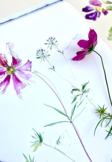 Watercolour Floral Painting Course