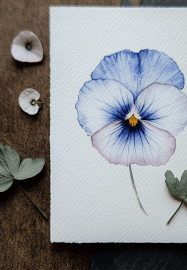 Watercolour Painting Class: in Bloom