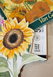 Watercolour Painting Class