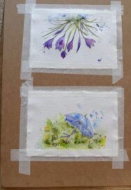 Watercolour Painting Workshop: Brush and Bites