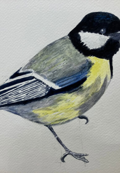 Watercolour Summer Course