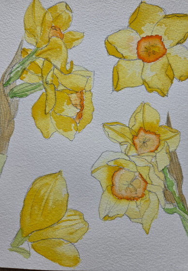 Watercolour Workshop: Blooms and Brushstrokes