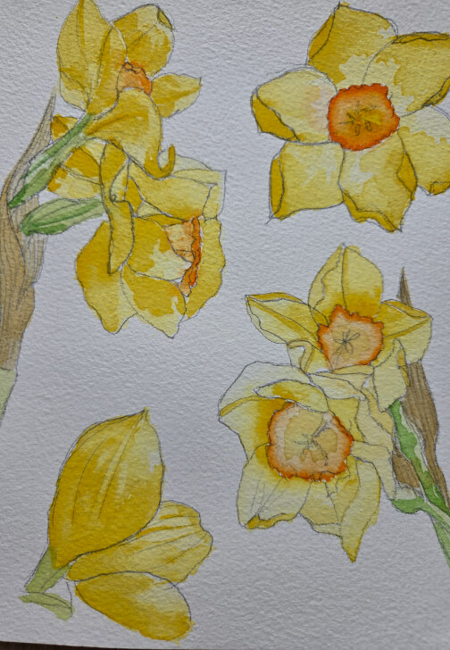 Watercolour Workshop: Blooms and Brushstrokes